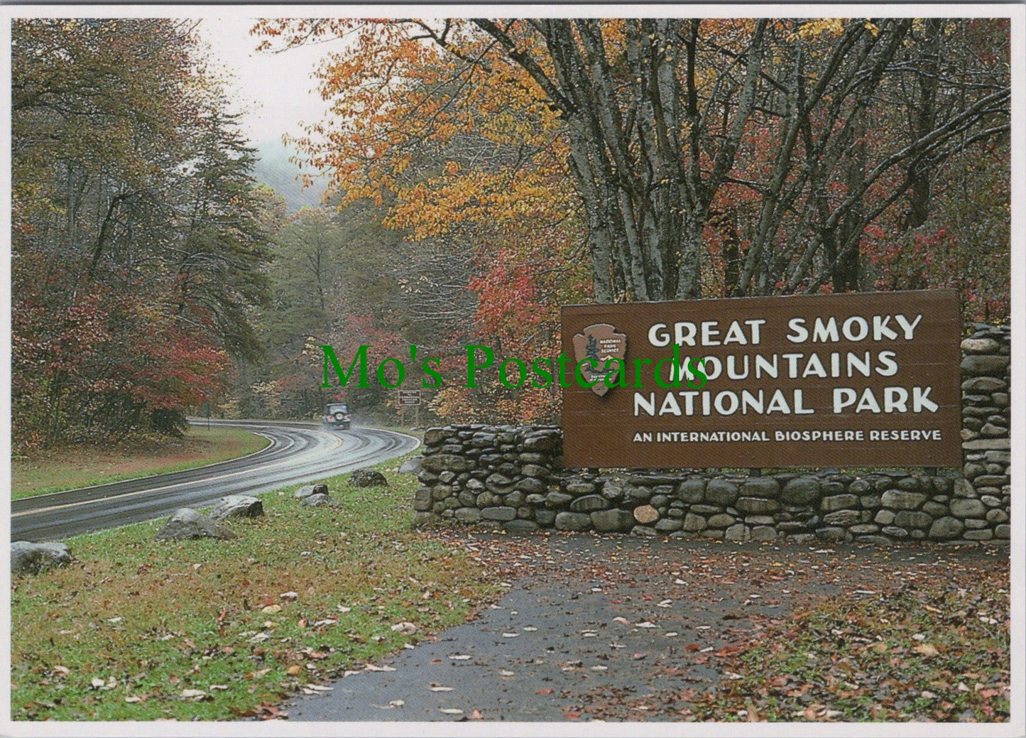 America Postcard - Great Smoky Mountains National Park SW11983