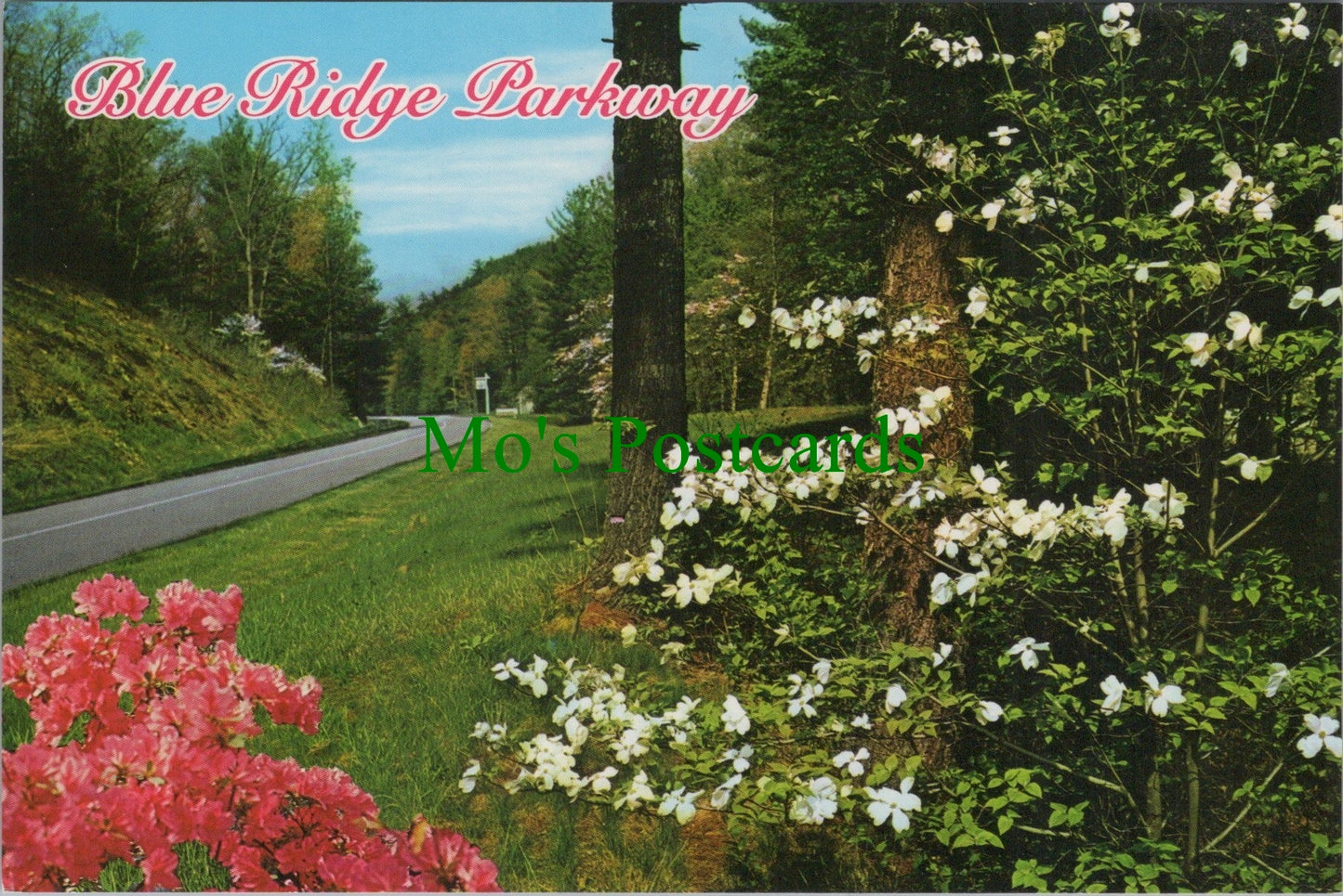 America Postcard - Blue Ridge Parkway SW12258