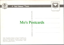 Load image into Gallery viewer, Animals Postcard - Birds - The Golden Eagle, Scottish Highlands SW12273