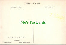 Load image into Gallery viewer, London Postcard - Royal Botanic Gardens, Kew SW12225