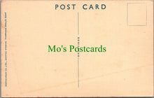 Load image into Gallery viewer, Hampshire Postcard - New Forest Ponies SW12749