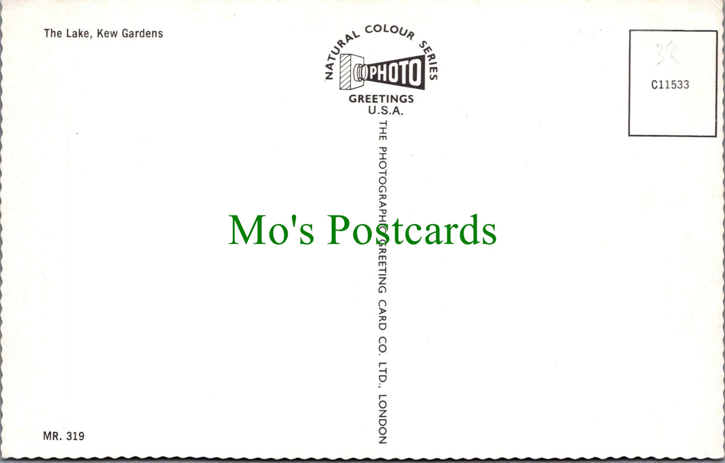 London Postcard - The Lake, Kew Gardens SW12576