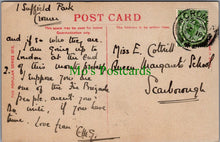 Load image into Gallery viewer, Animals Postcard - Beautiful Horse SW12609