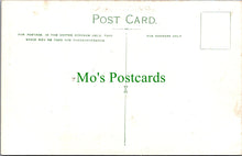 Load image into Gallery viewer, Surrey Postcard - Reigate Castle Gate SW12640