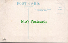 Load image into Gallery viewer, Sussex Postcard - Shoreham-By-Sea, Norfolk Bridge SW13291