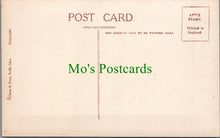 Load image into Gallery viewer, Animals Postcard - Grey Seals Hurrying To Sea SW13301