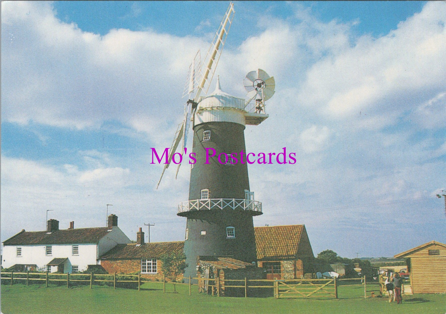 Norfolk Postcard - Great Bircham Windmill SW16007