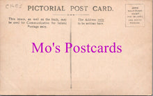 Load image into Gallery viewer, Cheshire Postcard - The Iron Bridge, Eaton Hall SW14496