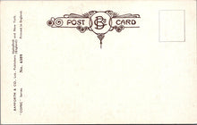 Load image into Gallery viewer, Comic Postcard - Drunk Man, Water Fountain SW16128