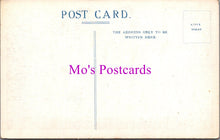 Load image into Gallery viewer, London Postcard - Kew Gardens Entrance Gates SX451