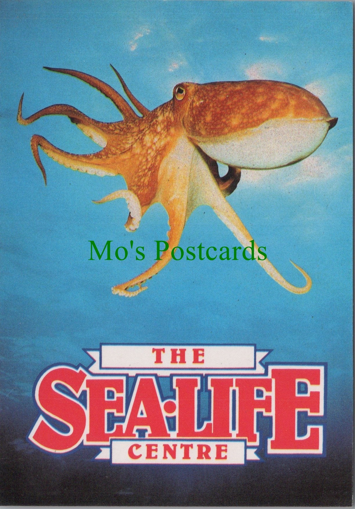 Animals Postcard - The Sea-Life Centre, Lesser Octopus SW13743