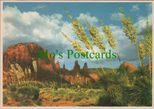 Load image into Gallery viewer, America Postcard - Yuccas in Bloom, Oak Creek Canyon, Arizona SW13707