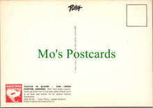 Load image into Gallery viewer, America Postcard - Yuccas in Bloom, Oak Creek Canyon, Arizona SW13707