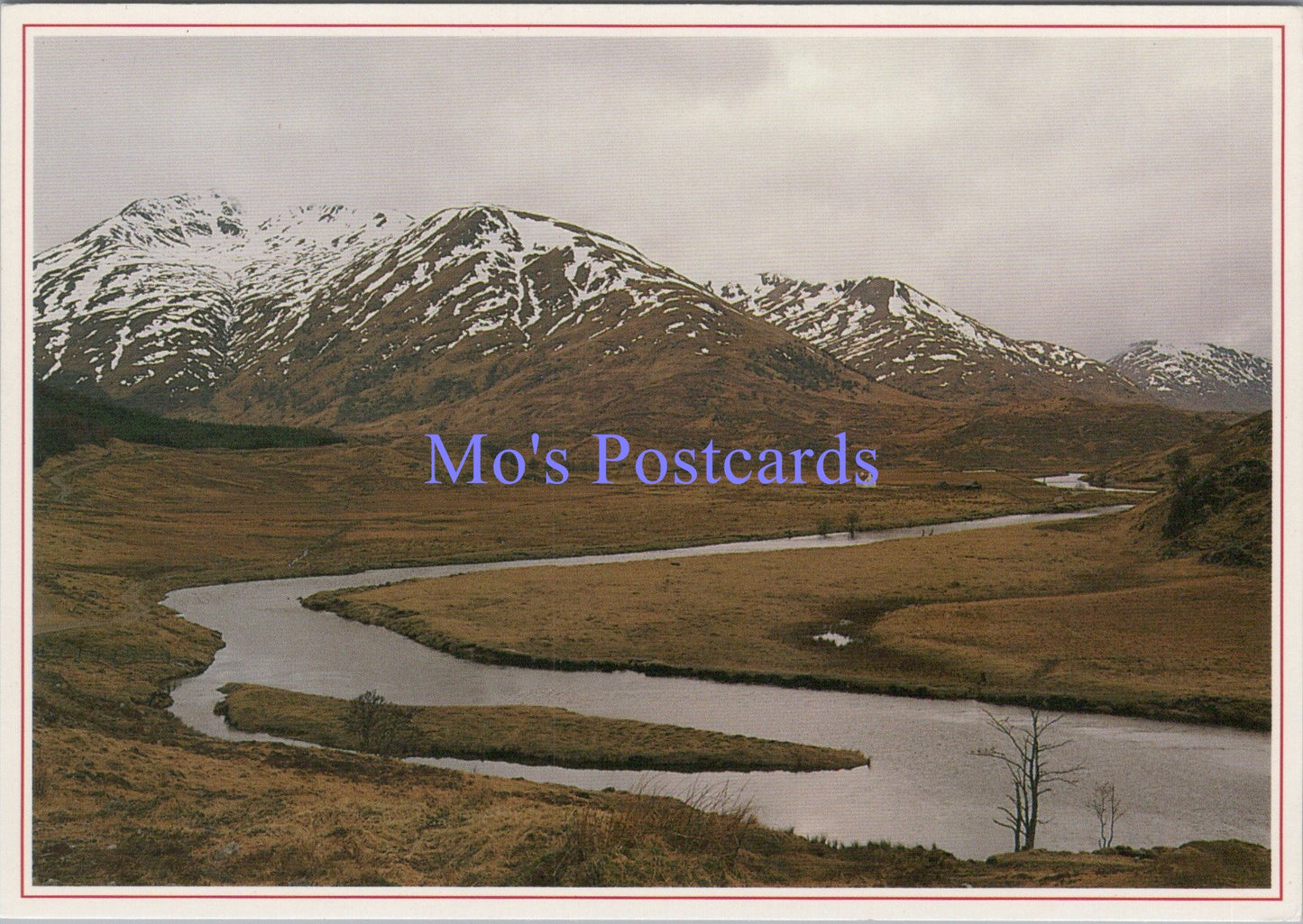 Scotland Postcard - Deep In The Heart of Glen Affric SW14056