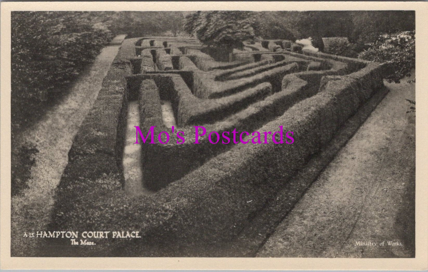 Middlesex Postcard - Hampton Court Palace, The Maze SW15315