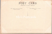Load image into Gallery viewer, Isle of Man Postcard - Sound and Calf of Man SW16473