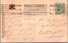 Load image into Gallery viewer, Animals Postcard - Pig and Piglets, A Contented Family SW16583