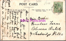 Load image into Gallery viewer, Sussex Postcard - Chapel Wood, Nutley HM541