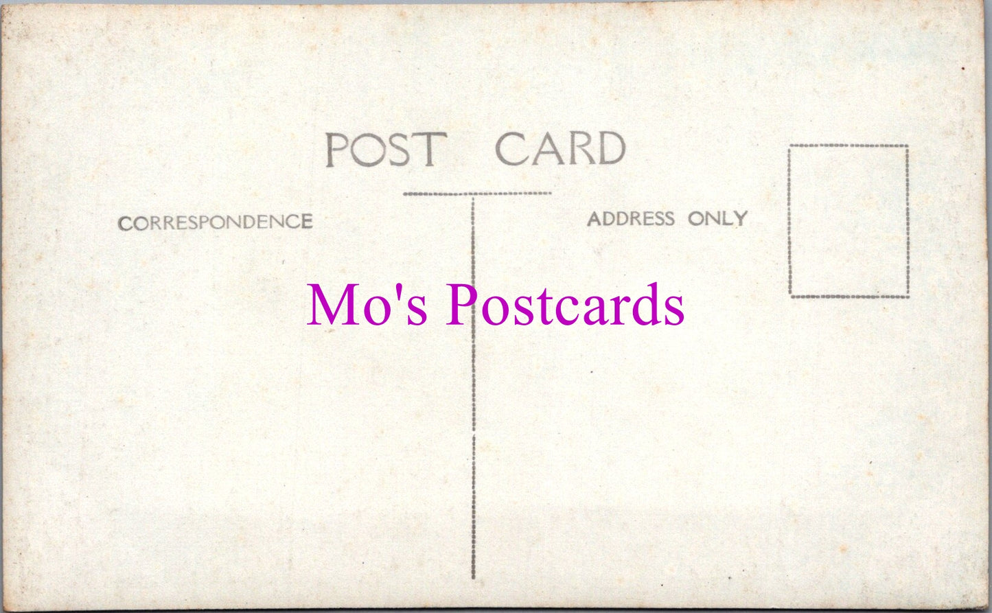Kent Postcard - Port Lympne, The Long Border SW16325