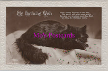 Load image into Gallery viewer, Greetings Postcard - My Birthday Wish, Black Cat SW16801