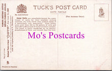 Load image into Gallery viewer, Animals Postcard - Jersey Cow and Calf. Artist Nora Drummond SW14787