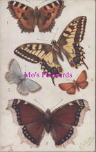 Load image into Gallery viewer, Animals Postcard - Butterflies and Moths SW14790