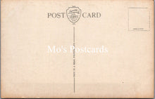 Load image into Gallery viewer, Northern Ireland Postcard - Shane's Castle, Randalstown SW15336