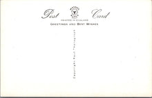 Load image into Gallery viewer, Animals Postcard - Cats, Kittens, The Little Things That Count SW15737