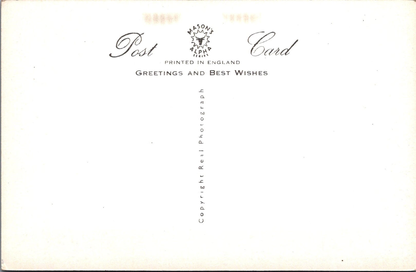 Animals Postcard - Dogs, Puppies, When Shall We Hear From You SW15738