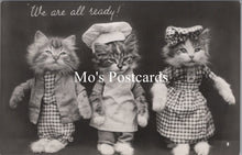 Load image into Gallery viewer, Animals Postcard - Cats, Kittens, We Are All Ready! SW15740