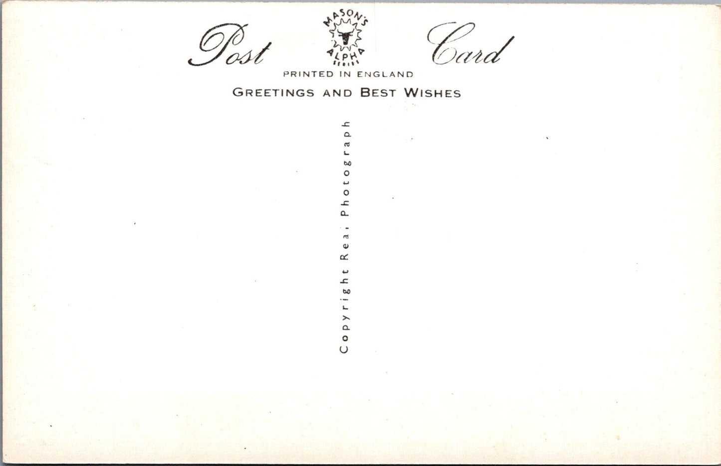 Animals Postcard - Cats, Kittens, We Are All Ready! SW15740