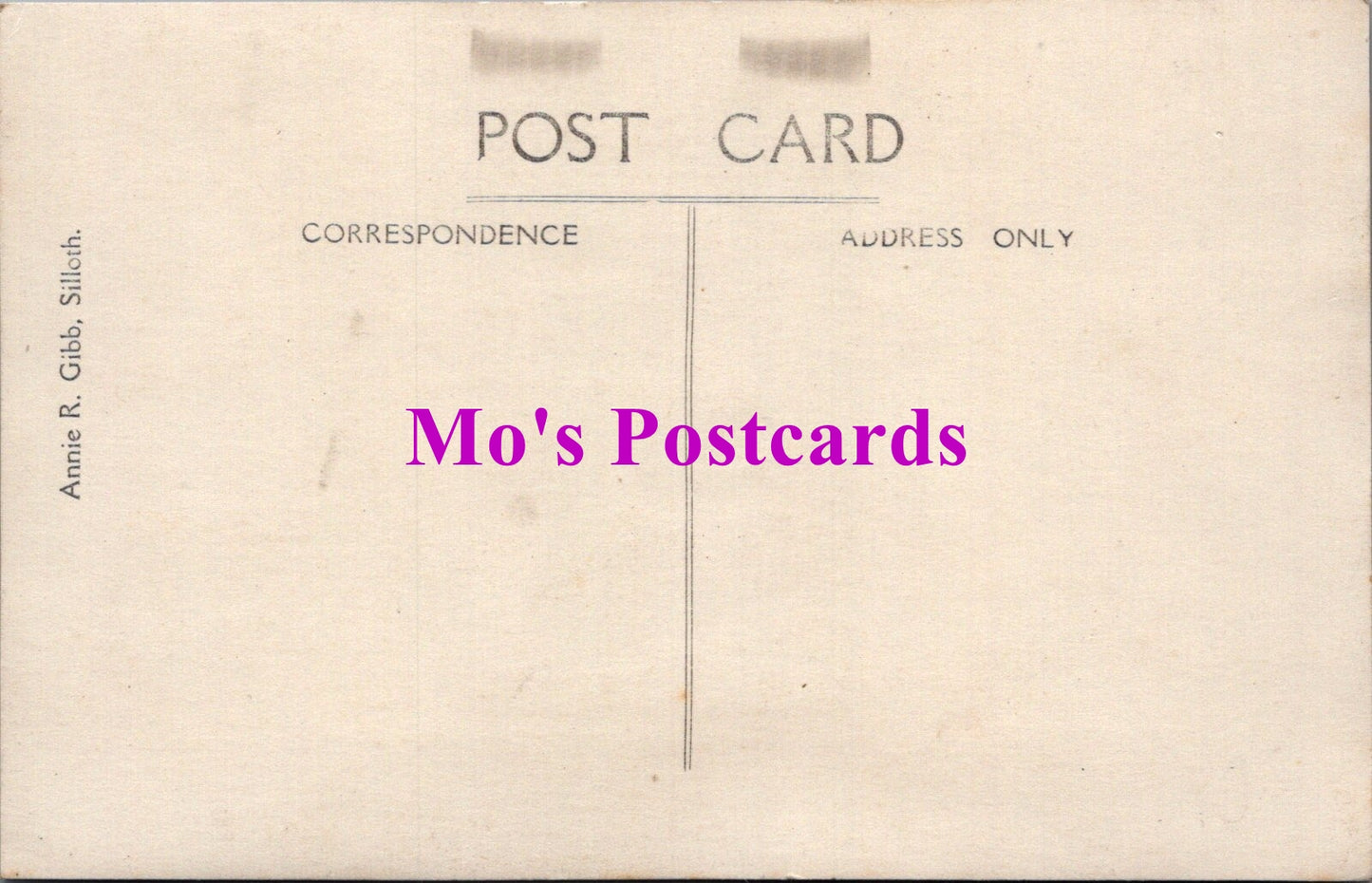 Animals Postcard - Dogs, Lady With Her Pet Dog SW14736