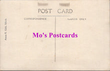 Load image into Gallery viewer, Animals Postcard - Dogs, Lady With Her Pet Dog SW14736