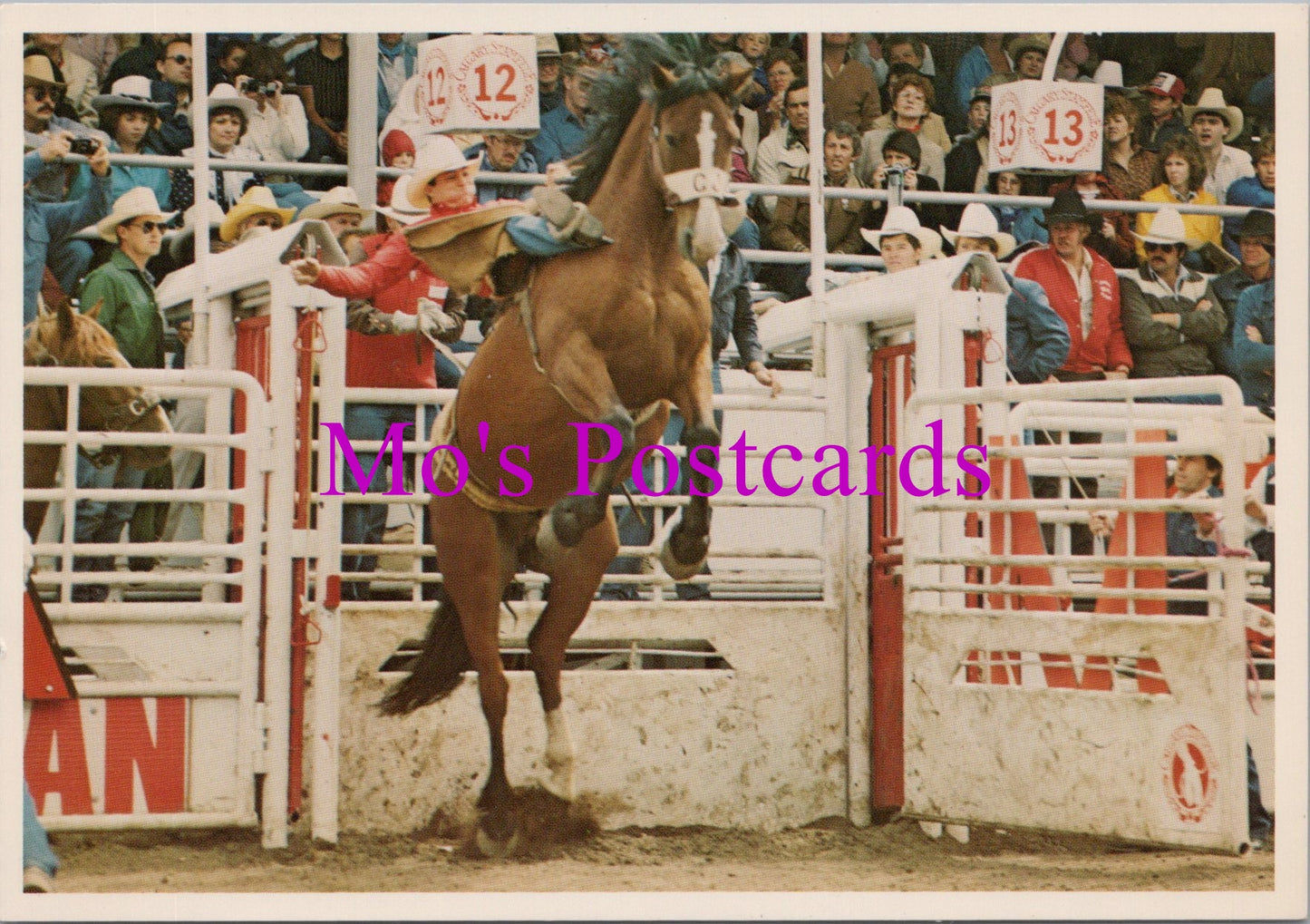Canada Postcard - Calgary Exhibition and Stampede SW15440