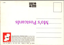 Load image into Gallery viewer, Animals Postcard - Fallow Deer, Phoenix Park, Dublin SW15443