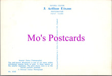 Load image into Gallery viewer, Animals Postcard - Birds, Kestrel (Falco Timnunculus) SW15479