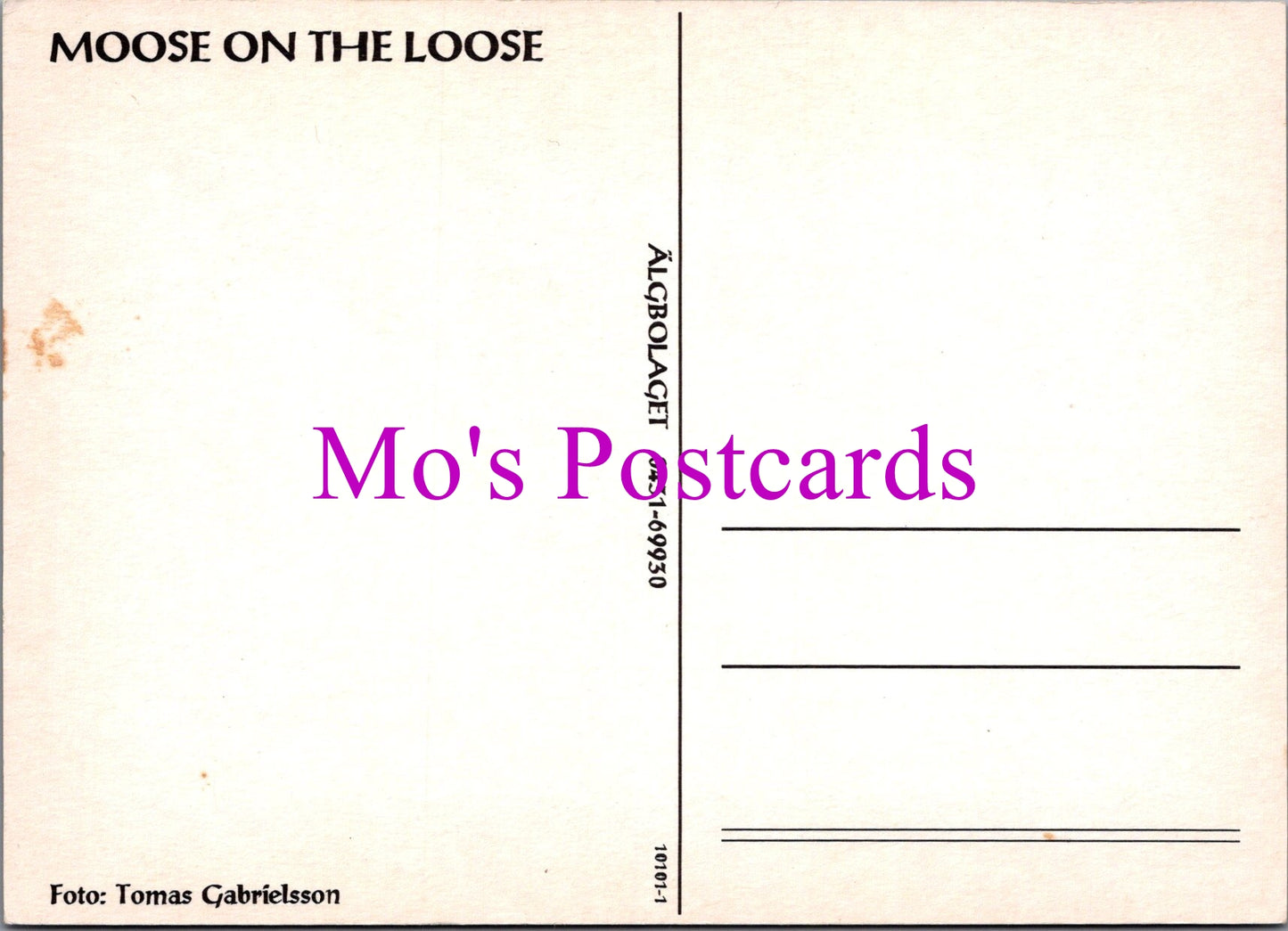 Animals Postcard - Moose on The Loose SW15481