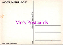 Load image into Gallery viewer, Animals Postcard - Moose on The Loose SW15481