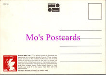 Load image into Gallery viewer, Animals Postcard - Highland Cattle, Scotland SW15488
