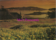 Load image into Gallery viewer, Flowers Postcard - Wild Flowers, Porthloo, St Mary's, Isles of Scilly SW14323