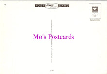 Load image into Gallery viewer, Animals Postcard - Dogs, Dog Stood Next To a Lake SW14330