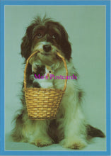 Load image into Gallery viewer, Animals Postcard - Cute Dog Holding a Cat in a Basket SW14334