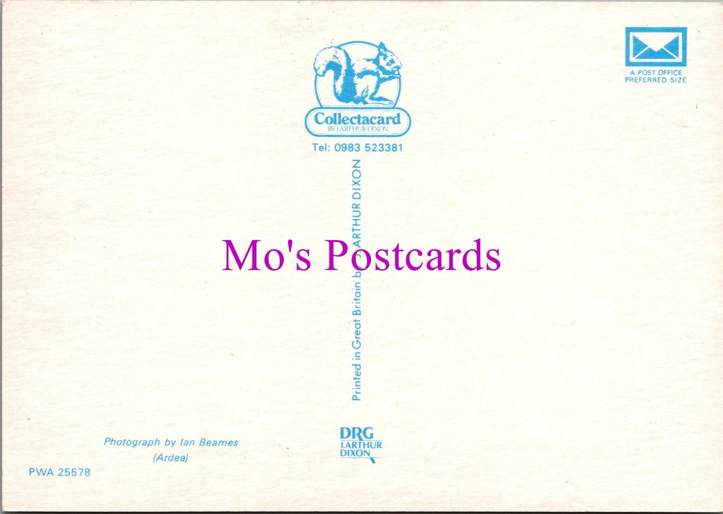 Animals Postcard - British Wild Animals, The Otter SW14336