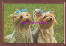 Load image into Gallery viewer, Animals Postcard - Two Cute Dogs With Blue Hair Bows SW14352
