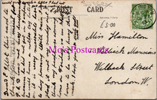 Load image into Gallery viewer, Sussex Postcard - Entrance To Petworth Park DZ112