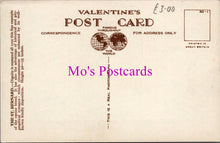 Load image into Gallery viewer, Animals Postcard - Dogs, The St Bernard DZ332