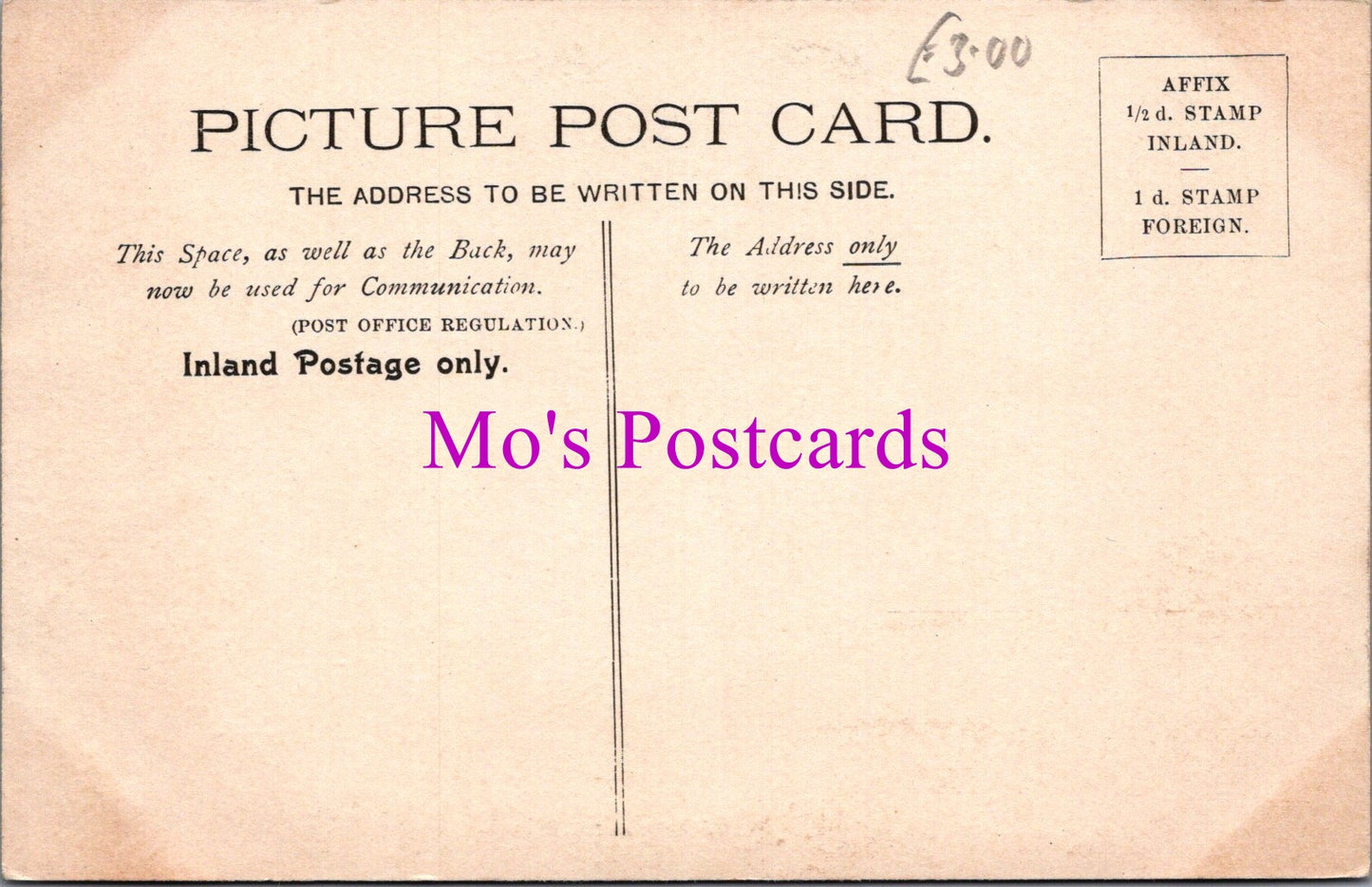 Animals Postcard - Two Chimpanzees in a Zoo DZ335