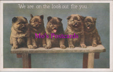Load image into Gallery viewer, Animal Postcard - Dogs, Five Cute Puppies DZ337