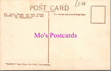 Load image into Gallery viewer, Animals Postcard - Hippopotamus, South African Wildlife DZ343