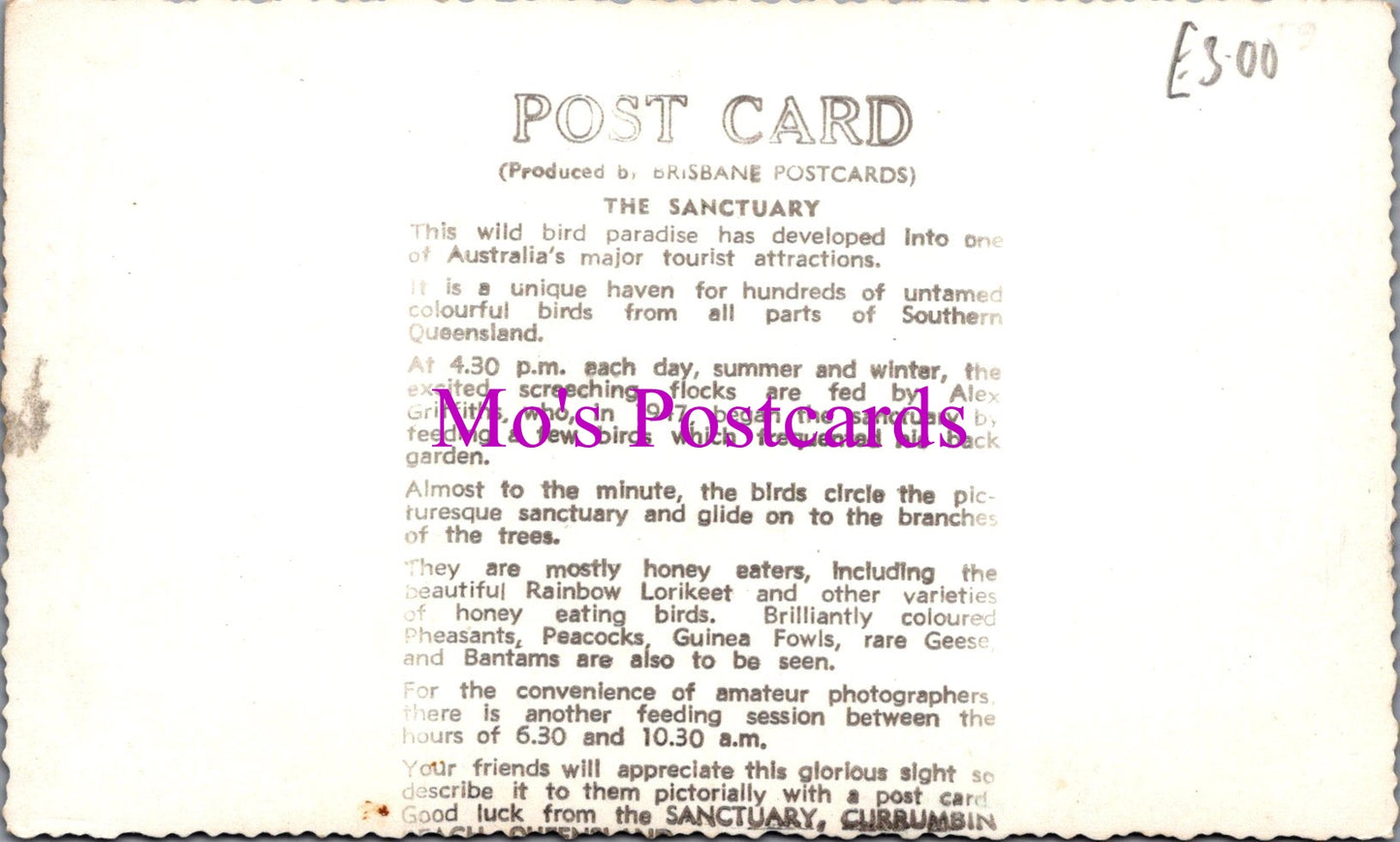 Australia Postcard - Good Luck From The Sanctuary, Currumbin DZ347